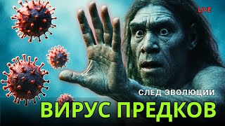 картинка: 🧬 Что скрывает ЭВОЛЮЦИЯ человека? Древние люди, ВИРУСЫ и тайны ДНК