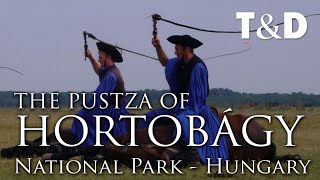Hortobágy National Park  Hungary Travel Guide  Travel & Discover
