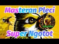 Masteran Pleci Super Ngotot   Jamin Cepat Masuk Dan Gak Akan Lama Bisa Menirukan Masteran pleci Nya