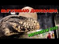 REPTILIUM 2022 / РЕПТИЛИУМ МОСКВА. ВЫГУЛИВАЮ ДИНОЗАВРА !!! САМЫЕ БОЛЬШИЕ ЗМЕИ.  EkzoMania