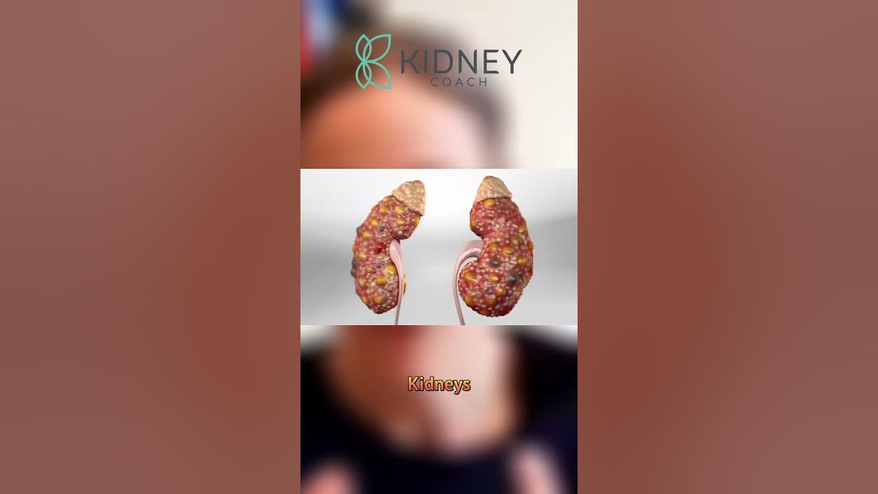 are-antibiotics-harmful-for-kidneys-youtube