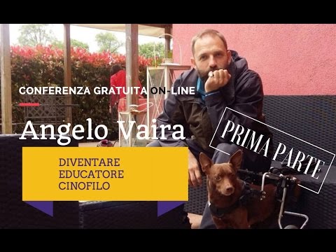 Video: Come ottenere un lavoro come un addestratore di cani (PLUS suggerimenti da professionisti)