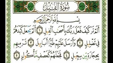 105 - سورة الفيل - ناصر القطامي.flv