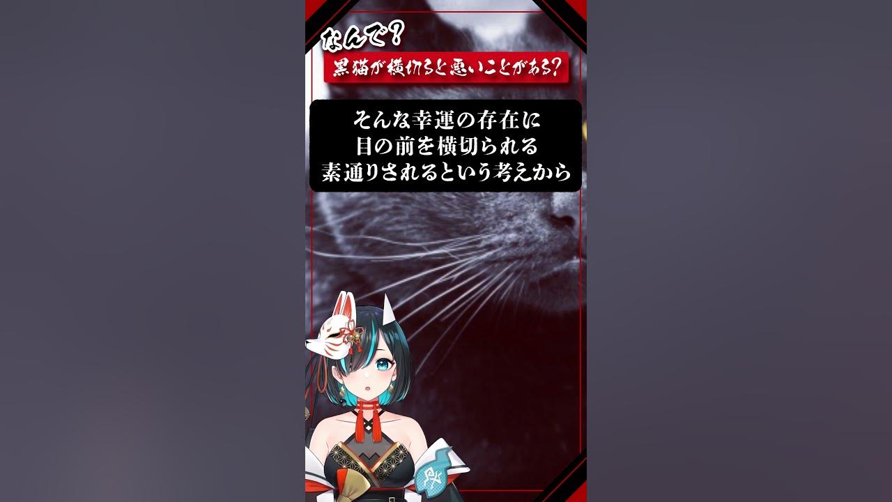 黒猫に関する神話と迷信