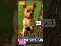 noticia de última hora!
