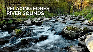 30 MINUTES of Relaxing river sounds | Forest river | FOR SLEEPING and MEDITATION