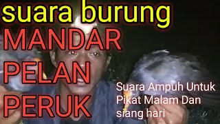 Suara Burung Mandar Pelan dan Peruk suara ampuh untuk pikat malam