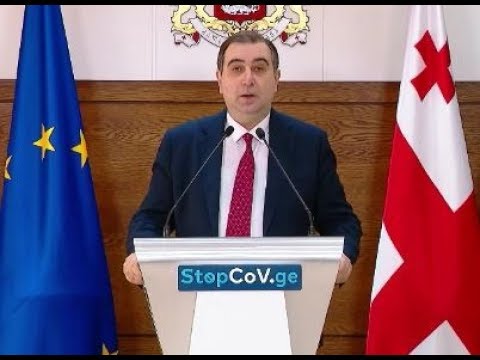 ეს სემესტრი აუცილებლად შედგება და არც ერთ შემთხვევაში არ ჩავარდება - განათლების მინისტრი