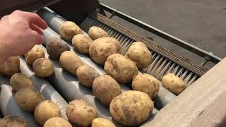 : Potato sorting machine Compas AS80 Schouten Sorting