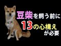 豆柴/柴犬を飼おうか悩んでいる方、コレを見れば飼育の大変さがわかります