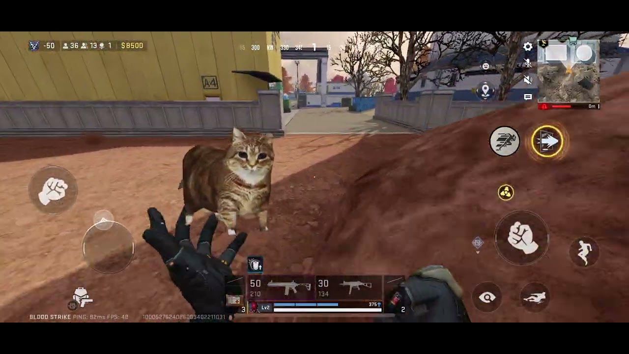 20 de febrero de 2026