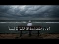 القارئ عبدالرحمن مسعد تلاوة سورة العنكبوت تلاوة تريح السمع والقلب   حالتي