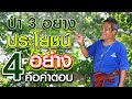 ปลดหนี้ด้วยศาสตร์พระราชา | คนรักษ์ป่า ep 12