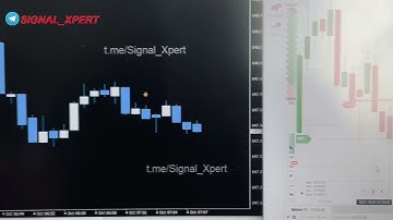 🚀 11/11 WIN ! 💰 100% Accurate MT4 Trading Signals | No Repaint | Live Proof 🔥 #protrader
