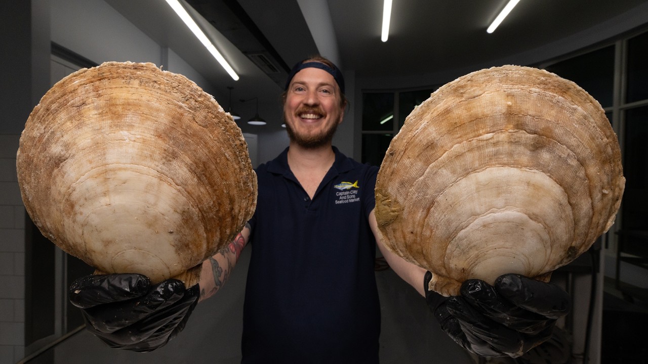 Why Scallops Are So Expensive - YouTube