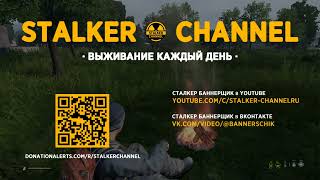 Выживание каждый день! #СталкерБаннерщик #СталкерОнлайн #StayOut #DayZ #DayZLivonia