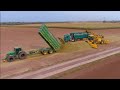 Mais 2021 : Loading Silage with a Ropa L8  / LU Frieling / JD 8600i / John Deere 7530 / Maishäckseln