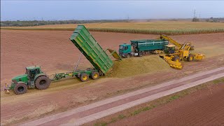 Mais 2021 : Loading Silage with a Ropa L8  / LU Frieling / JD 8600i / John Deere 7530 / Maishäckseln