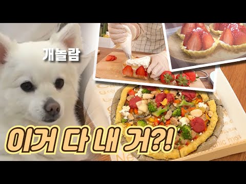 [황금나침반] 이색 반려동물 상품! / YTN 사이언스