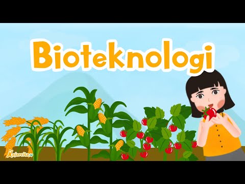 Bioteknologi | IPA SMP