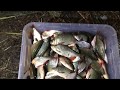 Рыбалка в астраханской области поселок Вышка 2017