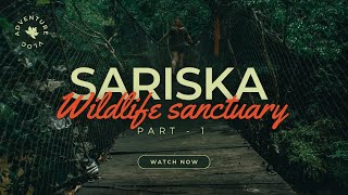 Unveiling the Beauty of Sariska Sanctuary | Sariska tiger safari |