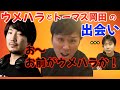 混ぜるな危険！ウメハラとトーマス岡田、2人の神が遭遇してしまった話「トーマスさんがウメハラさんに○○しに行った」「こくじんさんがそれを見て…」【ハイタニ切り抜き】