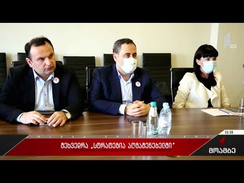 „მესამე ძალა - სტრატეგია აღმაშენებლი“ შეხვედრებს აგრძელებს