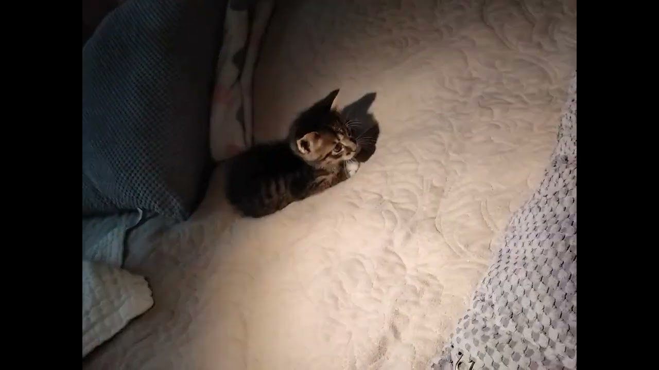 16 февраля 2026 г.