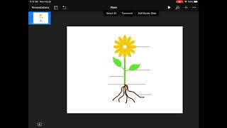 Quick Tutorials  Creating Activities in Seesaw