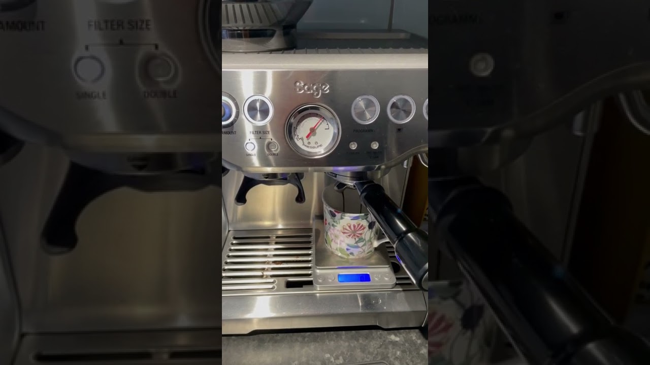 Sage Barista Express Gauge Bounce Problem