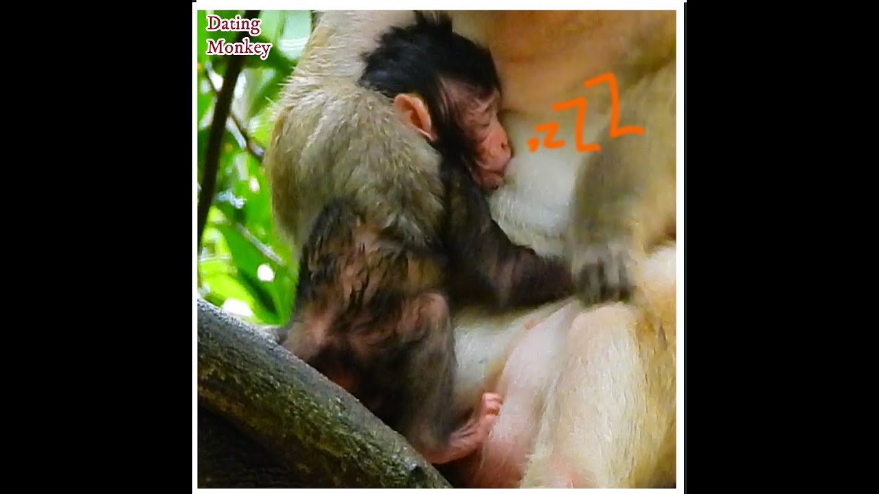 Wonderful Day ! New Born BB Wet Body Sleep Drinking Milk