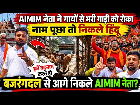 AIMIM नेता ने पकड़ी गायों से भरी गाड़ी, सामने आया चौंकाने वाला सच!