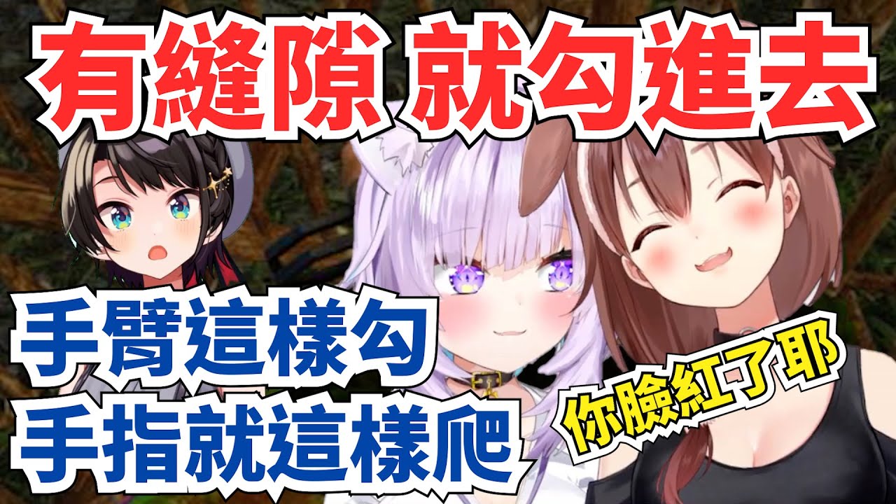 【撩貓】狗教貓活用手指挑逗 讓小粥臉紅心跳得瘋狂尖叫 沁音你太會了吧！貼身勾手大師 【戌神沁音＆貓又小粥】【hololive】