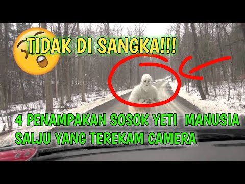 Video: Di Himalaya, Mereka Merekam Serangkaian Jejak Kaki Yeti - Pandangan Alternatif