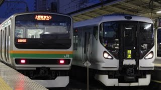 [FHD/警笛]E257系が団臨で一年ぶりに東海道入線　2015/3/30　@平塚駅