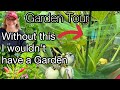 Garden tour growing tips in raised bed gardening container gardening vegetables  flowers for birds