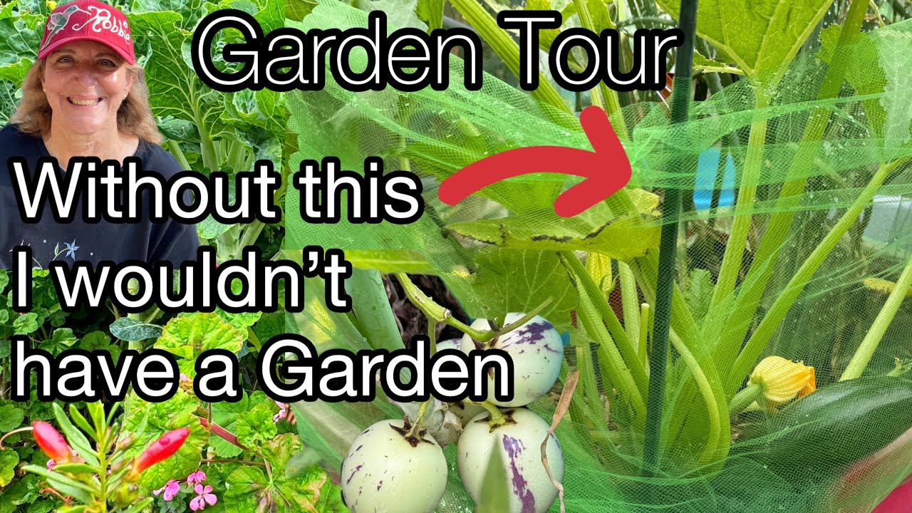 Garden Tour Growing TIPS in Raised Bed Gardening, Container Gardening ...