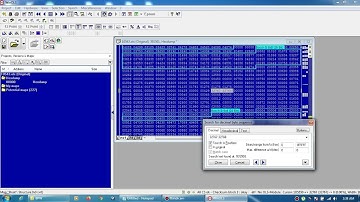 Winols part 1: DPF off all edc 16 VAG
