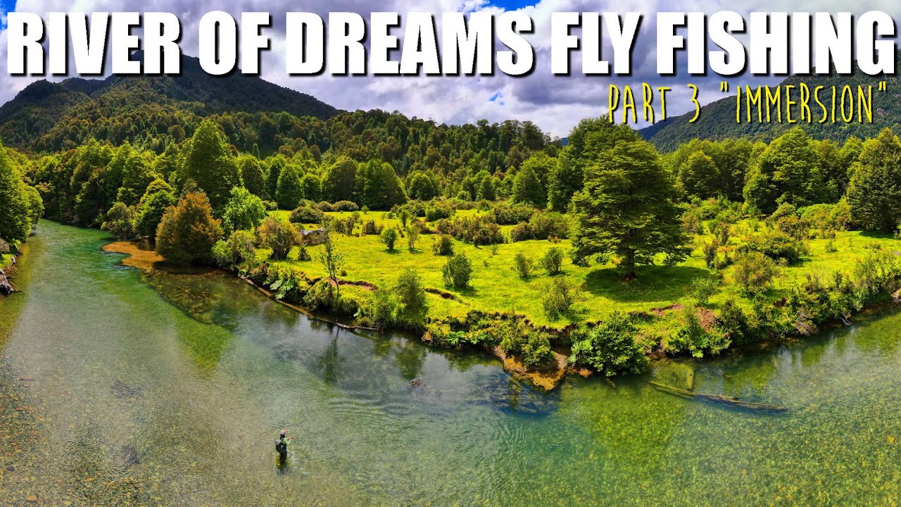 "IMMERSION" Dry Fly Fishing the River of Dreams Patagonia Brown