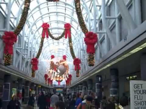 Mylan Murphy Christmas Break Day 1