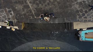 Dario Cuomo - Comm A Nu Lupo Lyric Video