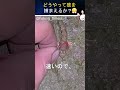 この信じられない生き物を見てください。瞬時にテレポートできるんです。