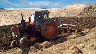 Трактор Т 40 с культуватором в поле | Tractor T 40 with cultivator in the field