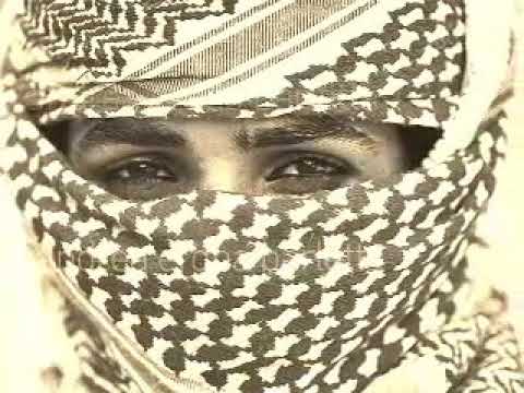 أردن وطنا وما نبيعة بالذهب حنا فرسان الحق رائد المعاني نشامى الأردن