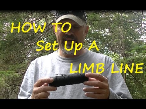 How to Set Up a Fishing LIMB LINE 