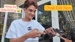 Bị hỏng xe khi đi mua thêm 2 em Choè Đất Non về nuôi | Mạc Văn Khoa , Chim Cá Cảnh