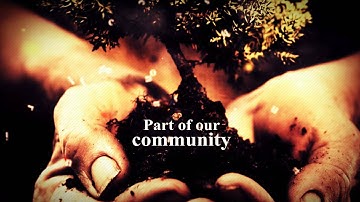 inspiredlife custom work AEP videohive- scribingvideo VHtemplates