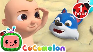 Animal Beach Song  CoComelon JJ's Animal Time | Nursery Rhymes and Kids Songs | After School Club