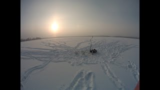 На лед за зубастой 02.12.2023 год.